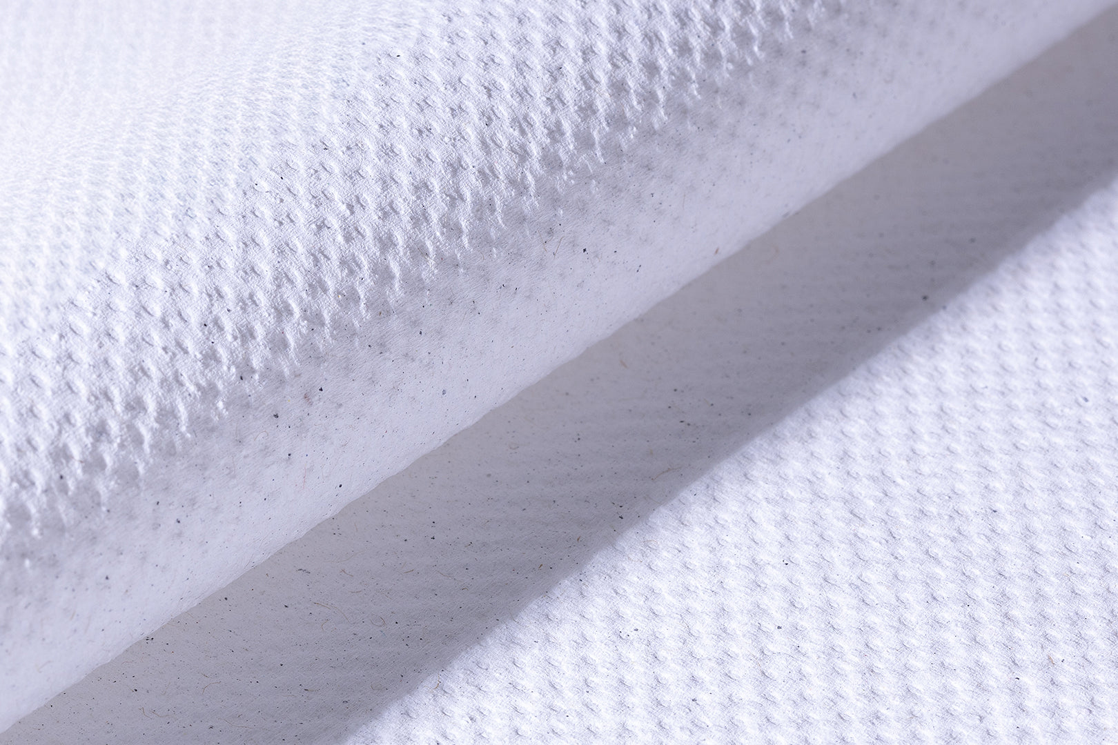 Green Hygiene® Papierhandtücher FRIEDA, 2-lagig, Zick-Zack-Falz (V-Falz), 4000 Tücher